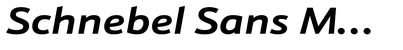 Schnebel Sans ME Extended Bold Italic